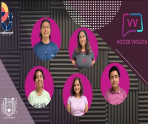 Voces violetas: mujeres en el cine