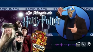 Cinema Decibel: Profe Ocelote &quot;Harry Potter&quot;